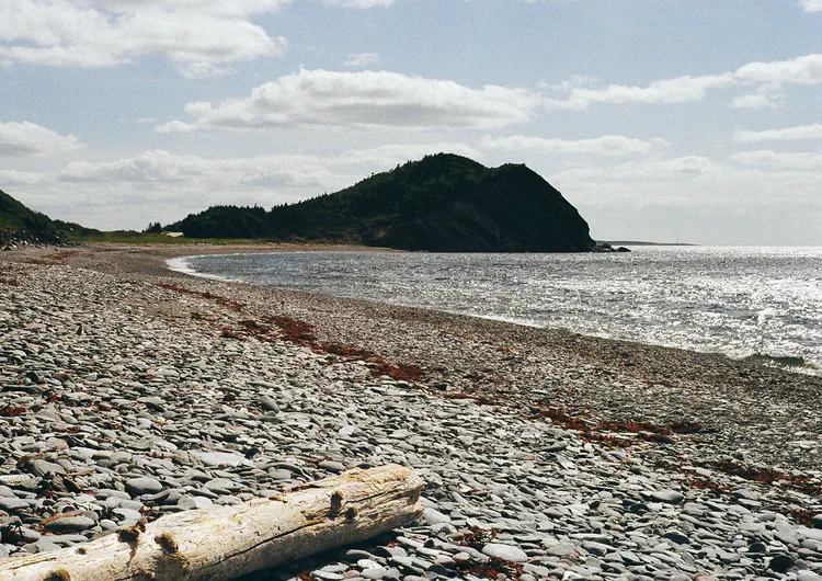 [Cabot Trail, Nova Scotia](https://www.google.com/maps/search/?api=1&query=Cabot+Trail+Cape+Breton+Nova+Scotia) · Nikon FM2 · 50mm · Fuji 200