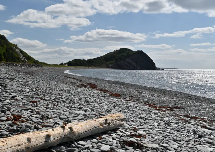 [Cabot Trail, Nova Scotia](https://www.google.com/maps/search/?api=1&query=Cabot+Trail+Cape+Breton+Nova+Scotia) · Nikon Z50 · 18-55mm
