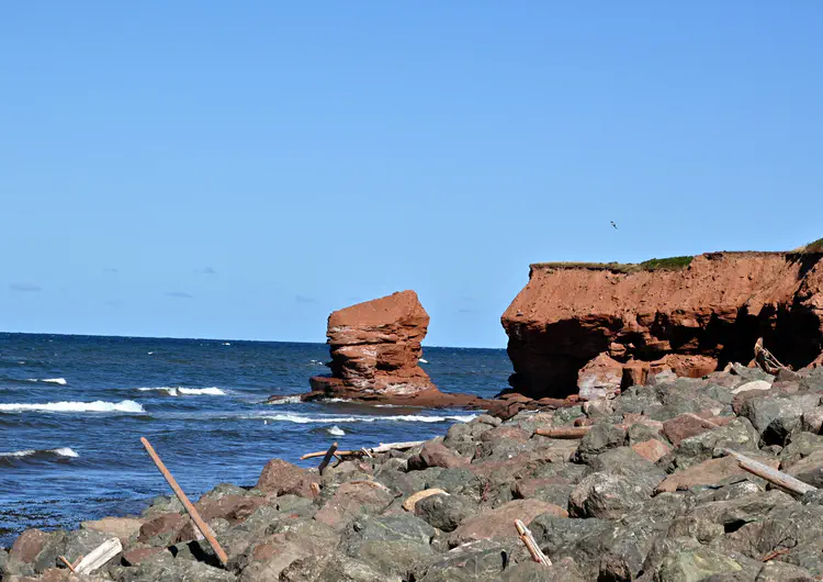 [The Cactus Pot, PEI](https://maps.app.goo.gl/pyUYmRXrnpNMzxqk9) · Nikon Z50 · 18-55mm