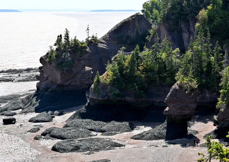 [Hopewell Cape, New Brunswick](https://www.google.com/maps/search/?api=1&query=Hopewell+Rocks+New+Brunswick) · Nikon Z50 · 18-55mm
