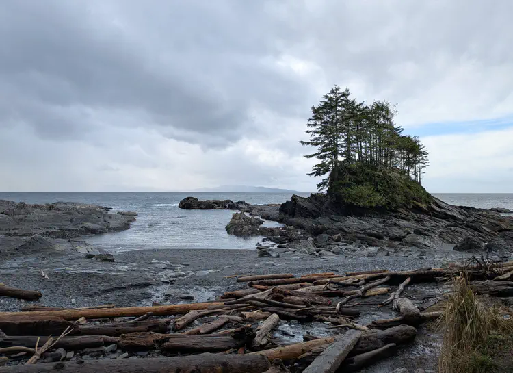 [Botanical Beach, Port Renfrew, British Columbia](https://www.google.com/maps/search/?api=1&query=Botanical+Beach+Port+Renfrew+British+Columbia) · Google Pixel 9a
